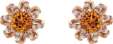 14K Gold Natural Citrine Round 4-Prong Halo-Style Twist Earrings - Rose Gold - view 2