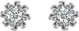 14K Gold Natural Diamond Round 4-Prong Halo-Style Twist Earrings - White Gold - view 2