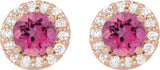 14K Gold Natural Pink Tourmaline Round 4-Prong Halo-Style Earrings II - Rose Gold - view 4