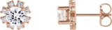 14K Gold Natural Diamond Round 4-Prong Halo-Style Earrings - Rose Gold