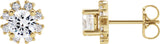 14K Gold Natural White Sapphire Round 4-Prong Halo-Style Earrings - Yellow Gold