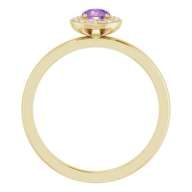 14K Gold Round Natural Amethyst Halo-Style Ring - Yellow Gold - view 2