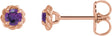 14K Gold Natural Amethyst Round 4-Prong Claw Rope Stud Earrings - Rose Gold