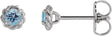 Platinum Natural Aquamarine Round 4-Prong Claw Rope Stud Earrings