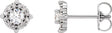 Platinum Round Natural Diamond Halo-Style Earrings – 2.5-4.5mm Stones