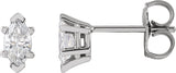 14K Gold Natural Diamond Marquise 6-Prong V-End Stud Earrings - White Gold