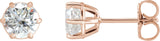 14K Gold Natural Diamond Round 6-Prong Stud Earrings - Rose Gold