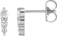 Platinum Natural Diamond Graduated Bar Earrings