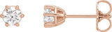 14K Gold Lab-Grown Diamond Round 6-Prong Stud Earrings - Rose Gold