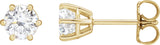 14K Gold Lab-Grown Diamond Round 6-Prong Stud Earrings - Yellow Gold