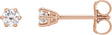 14K Gold Lab-Grown Diamond Round 6-Prong Stud Earrings - Rose Gold