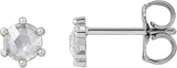 14K Gold Natural Diamond Round 6-Prong Rose-Cut Stud Earrings - White Gold