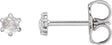 Platinum Natural Diamond Round 6-Prong Rose-Cut Stud Earrings