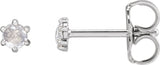 14K Gold Natural Diamond Round 6-Prong Rose-Cut Stud Earrings - White Gold