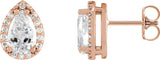 14K Gold Lab-Grown Moissanite Pear 4-Prong Halo-Style Low Stud Earring - Rose Gold