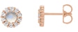 14K Gold Round Natural Rainbow Moonstone Rose-Cut Halo-Style Earrings - Rose Gold