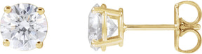 14K Gold Lab-Grown Diamond Round 4-Prong Lightweight Stud Earrings – 4 CTW - Yellow Gold