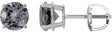Platinum Natural Gray Spinel Round 4-Prong Lightweight Stud Earrings