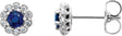 Platinum Natural Blue Sapphire & Natural Diamond Round 4-Prong Halo-Style Earrings