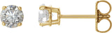 14K Gold Natural Diamond Round 4-Prong Lightweight Stud Earrings - Yellow Gold