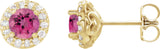 14K Gold Natural Pink Tourmaline Round 4-Prong Halo-Style Earrings II - Yellow Gold