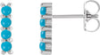 Platinum Round Natural Turquoise Cabochon Bar Earrings