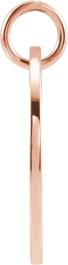 14K Gold Gemini Disc Necklace or Pendant - Rose Gold - view 3