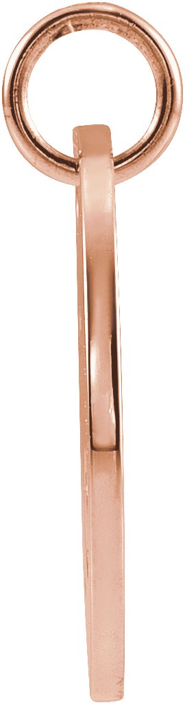 14K Gold Capricorn Disc Necklace or Pendant - Rose Gold - view 3