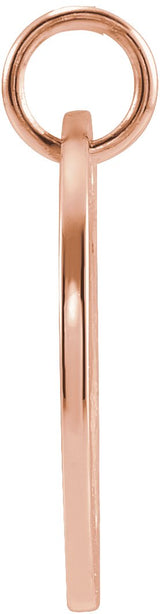 14K Gold Leo Disc Necklace or Pendant - Rose Gold - view 3