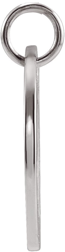 Platinum Leo Disc Necklace or Pendant - view 3