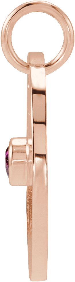 14K Gold Round Natural Mozambique Garnet Zodiac Disc Necklace or Pendant - Rose Gold - view 6